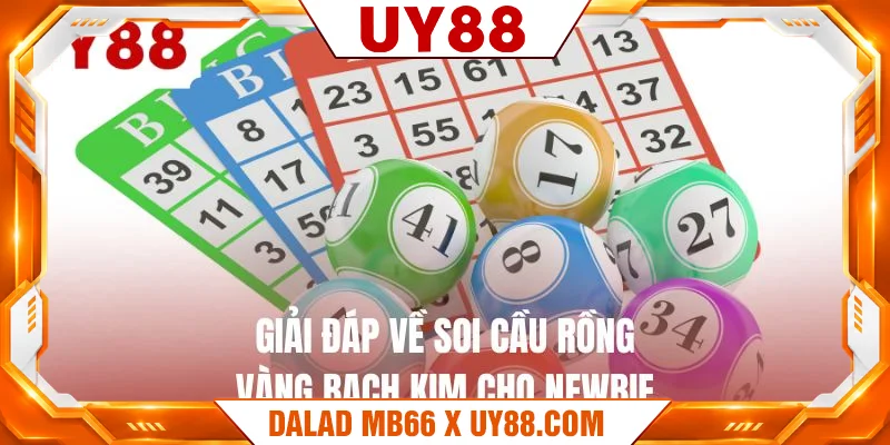 Giải đáp về soi cầu rồng vàng bạch kim cho newbie