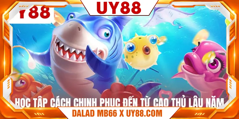 Học tập cách chinh phục đến từ cao thủ lâu năm