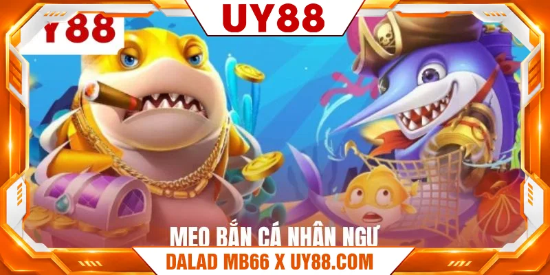 meo-ban-ca-nhan-ngu