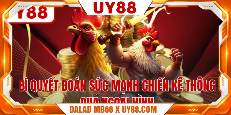 Bí quyết đoán sức mạnh chiến kê thông qua ngoại hình