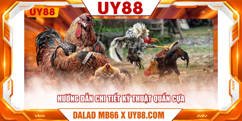 Hướng dẫn chi tiết kỹ thuật quấn cựa Hướng dẫn chi tiết kỹ thuật quấn cựa