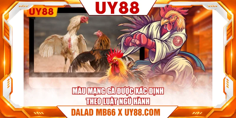 Màu mạng gà được xác định theo luật ngũ hành Màu mạng gà được xác định theo luật ngũ hành