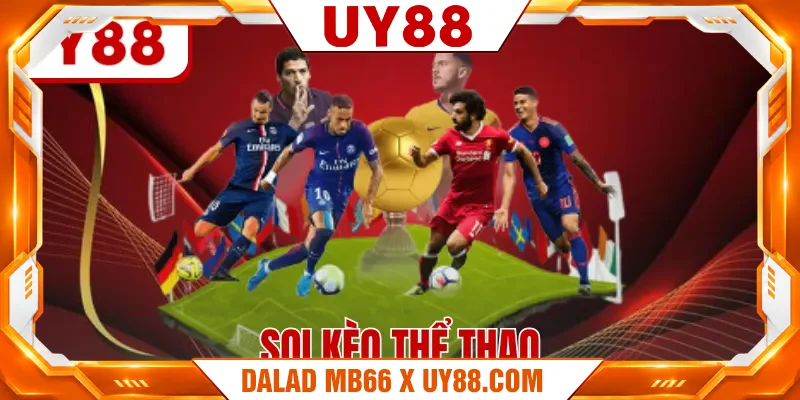 Soi Kèo Thể Thao - Vai Trò Quan Trọng Và 5 Lưu Ý Cần Biết