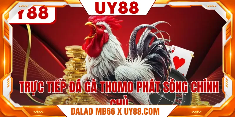 Trực tiếp đá gà Thomo phát sóng chính chủ